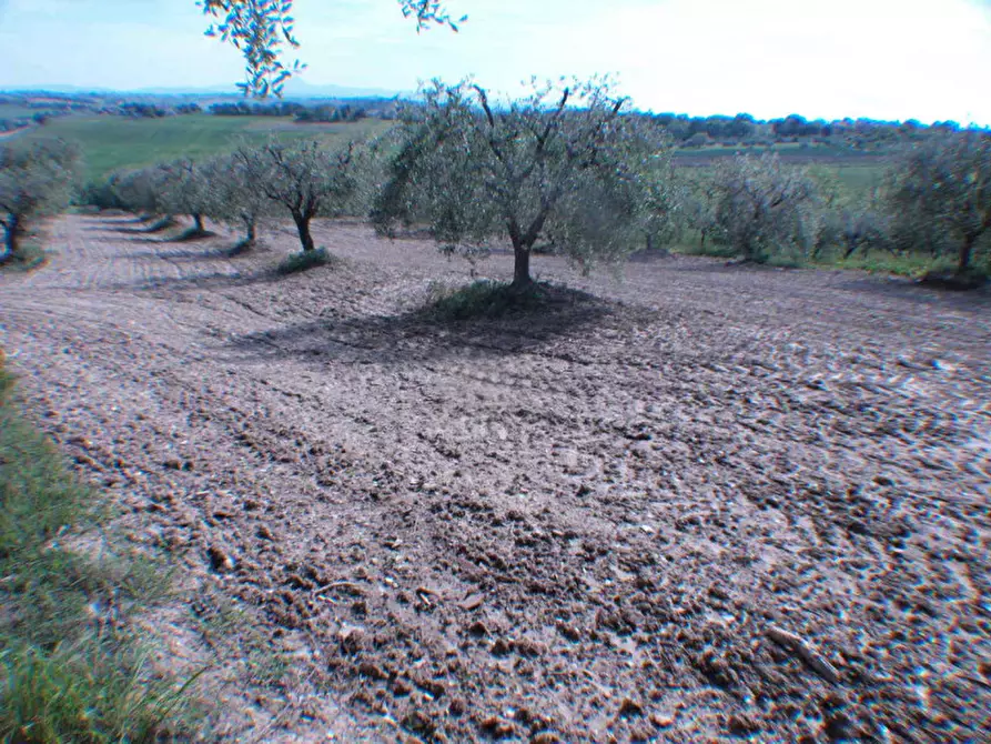 Immagine 22 di Villetta a schiera in vendita  a Senigallia