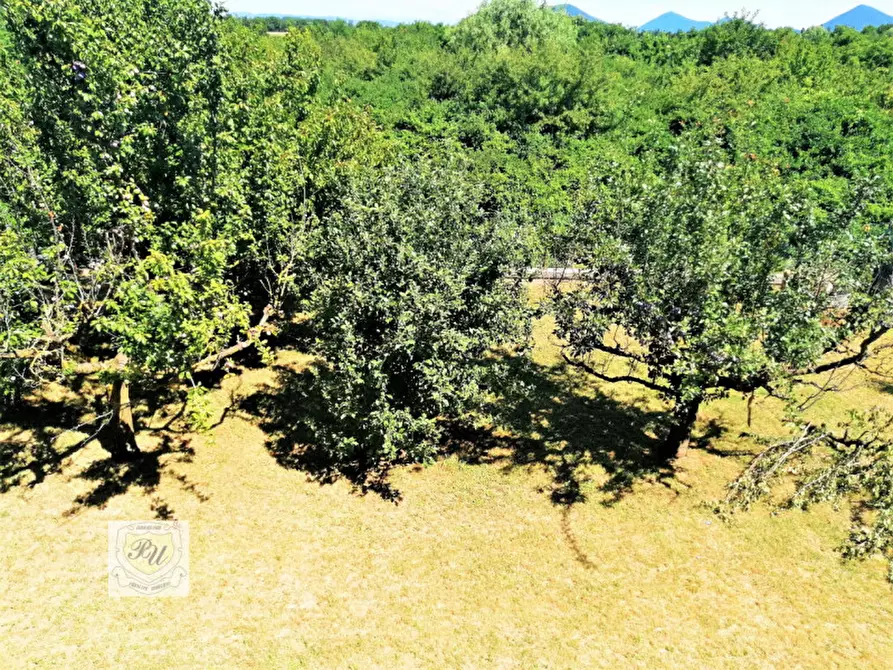 Immagine 21 di Casa indipendente in vendita  in VIA ALDO MORO a Ospedaletto Euganeo