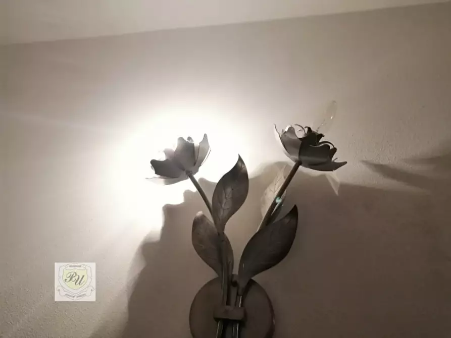 Immagine 29 di Casa indipendente in vendita  in VIA ALDO MORO a Ospedaletto Euganeo