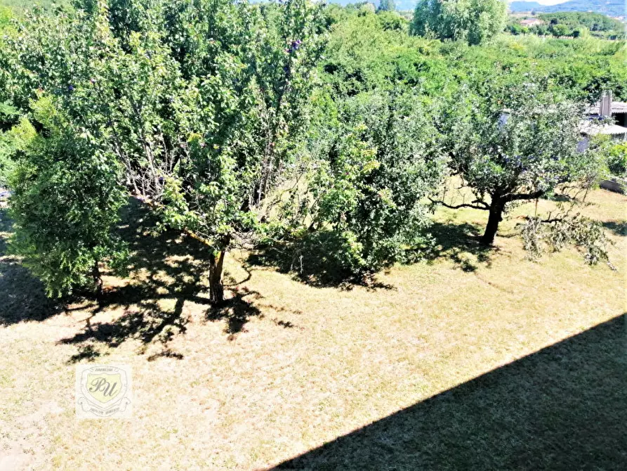 Immagine 46 di Casa indipendente in vendita  in VIA ALDO MORO a Ospedaletto Euganeo