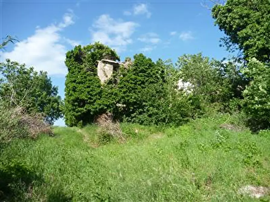 Immagine 3 di Rustico / casale in vendita  in Strada Provinciale 34 a Vallefoglia