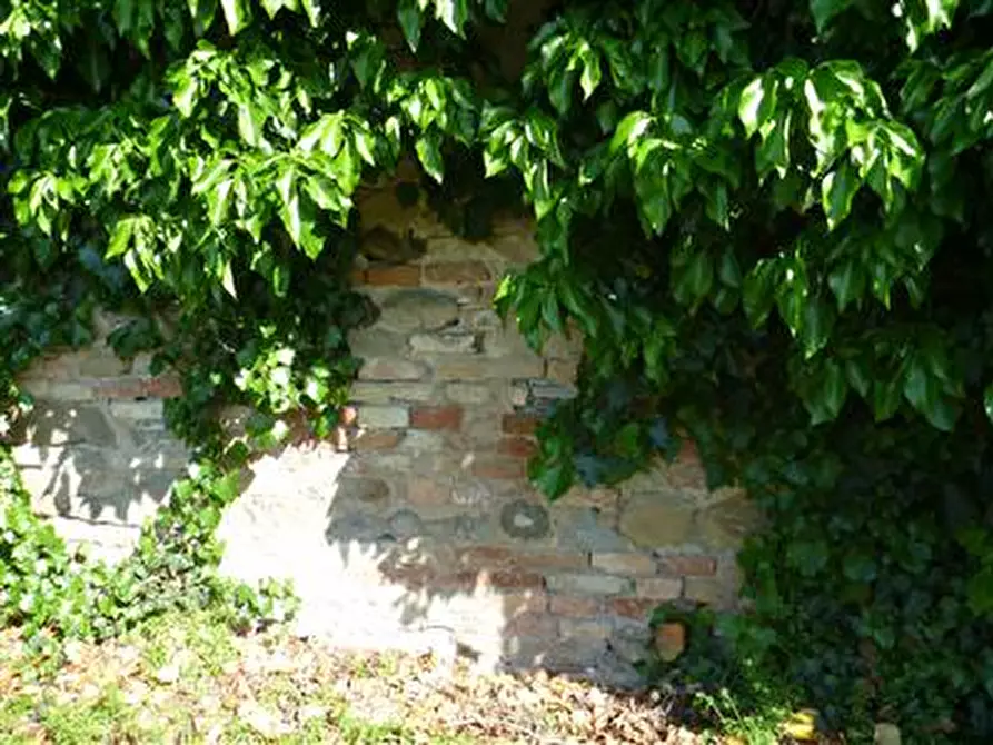 Immagine 4 di Rustico / casale in vendita  in Strada Provinciale 34 a Vallefoglia