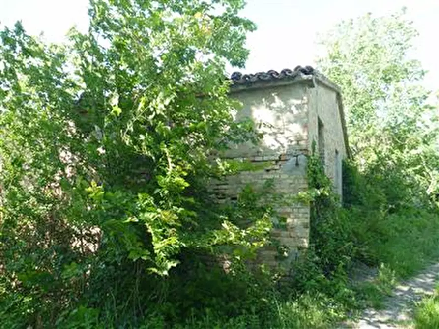 Immagine 8 di Rustico / casale in vendita  in Strada Provinciale 34 a Vallefoglia