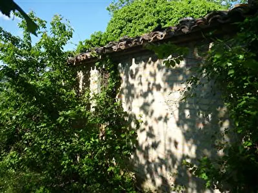 Immagine 9 di Rustico / casale in vendita  in Strada Provinciale 34 a Vallefoglia