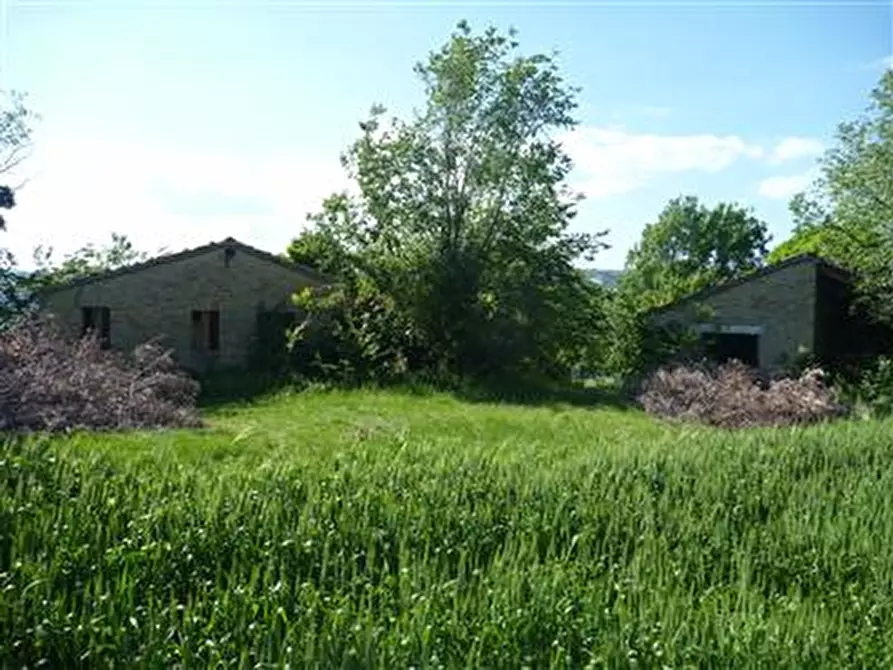 Immagine 10 di Rustico / casale in vendita  in Strada Provinciale 34 a Vallefoglia