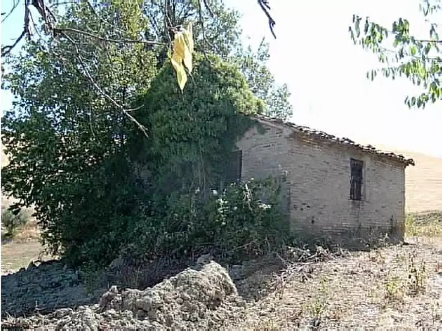 Immagine 11 di Rustico / casale in vendita  in Strada Provinciale 34 a Vallefoglia