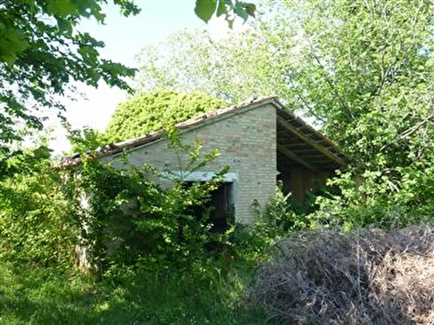 Immagine 12 di Rustico / casale in vendita  in Strada Provinciale 34 a Vallefoglia