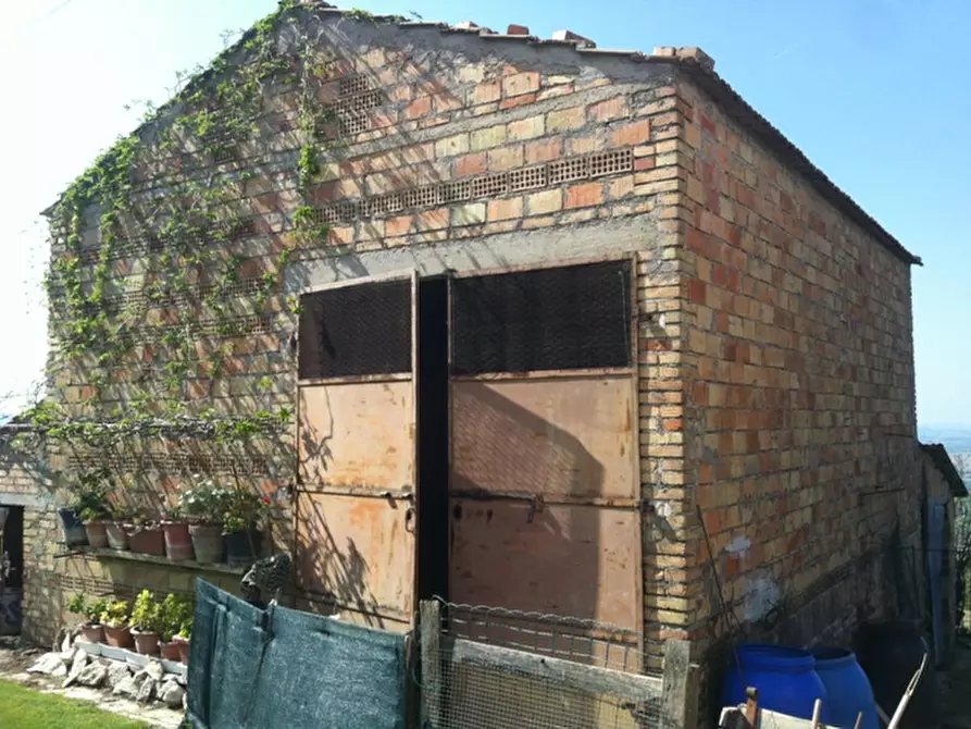 Immagine 21 di Casa indipendente in vendita  a Montecarotto