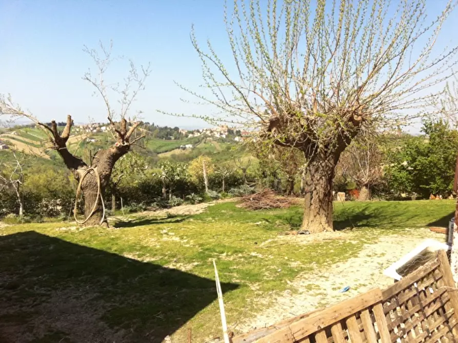 Immagine 22 di Casa indipendente in vendita  a Montecarotto