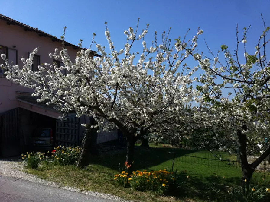 Immagine 28 di Casa indipendente in vendita  a Montecarotto