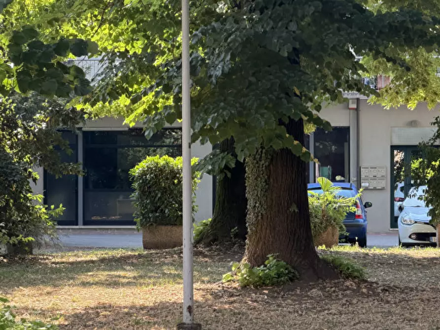 Immagine 3 di Negozio in affitto  in via san marco, 135 a Padova