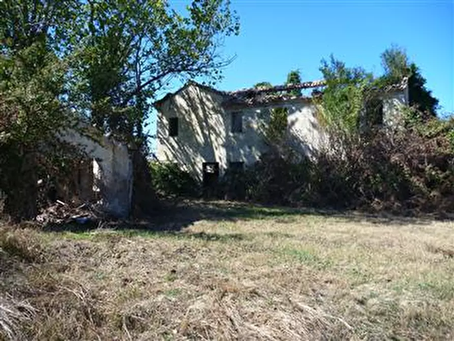 Immagine 2 di Rustico / casale in vendita  in Strada provinciale 123 a San Costanzo