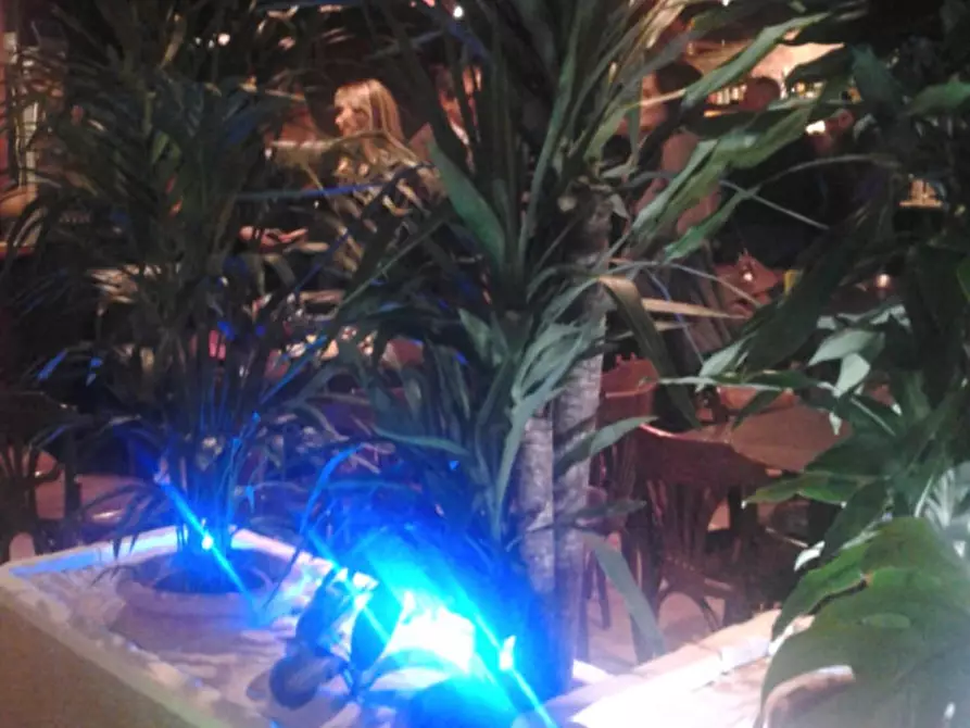 Immagine 14 di Negozio in vendita  a Padova