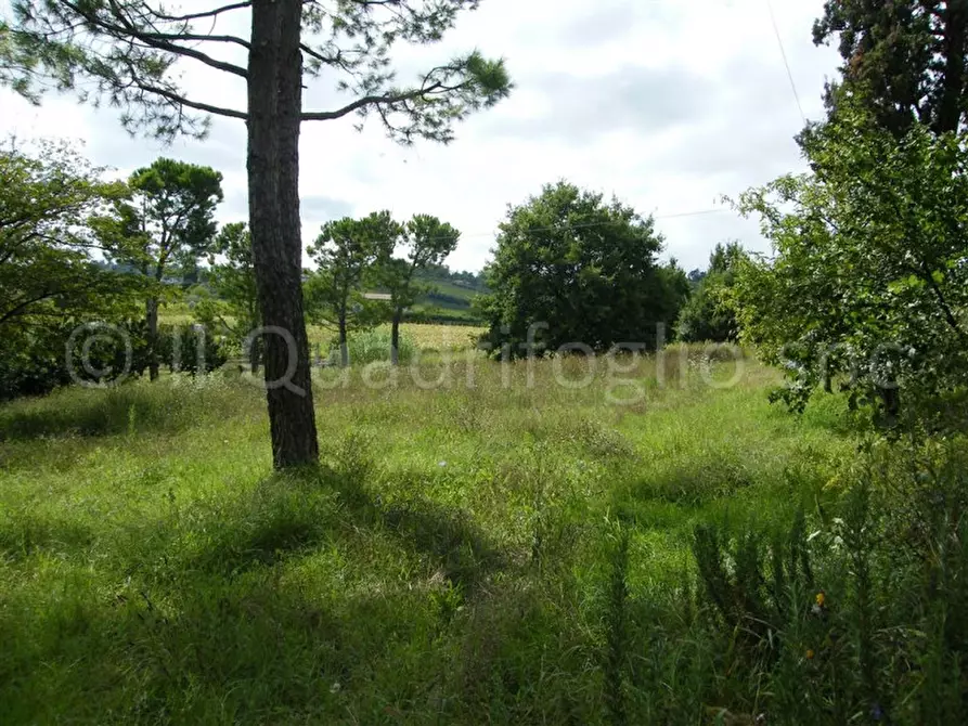 Immagine 4 di Rustico / casale in vendita  in Via Bertinorese a Cesena