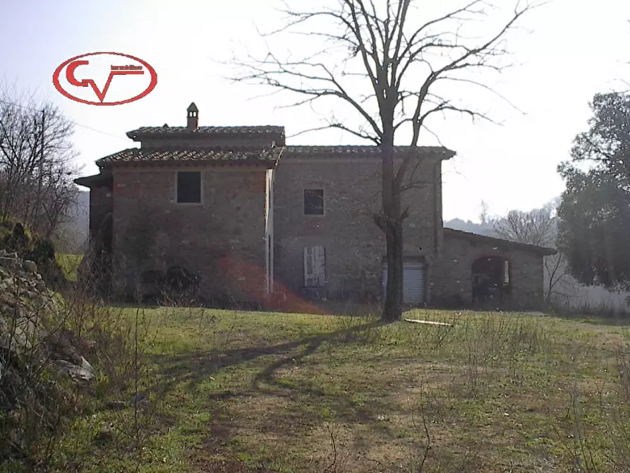 Immagine 6 di Rustico / casale in vendita  a Terranuova Bracciolini