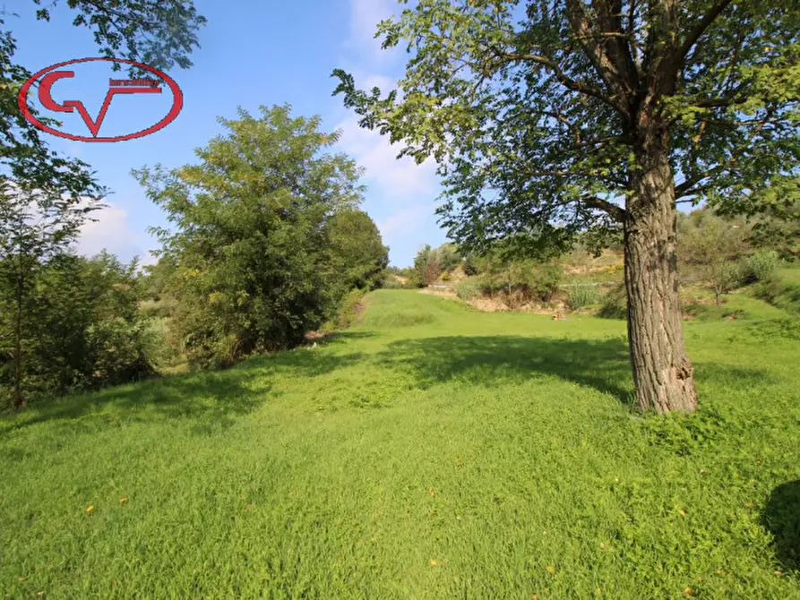 Immagine 7 di Rustico / casale in vendita  a Terranuova Bracciolini