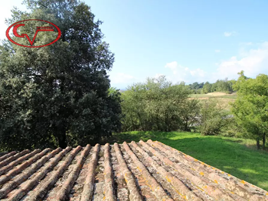 Immagine 16 di Rustico / casale in vendita  a Terranuova Bracciolini