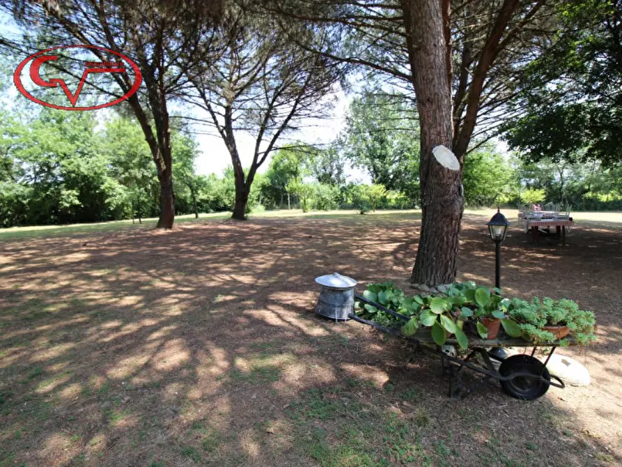 Immagine 29 di Rustico / casale in vendita  in Via oberdan a Bucine