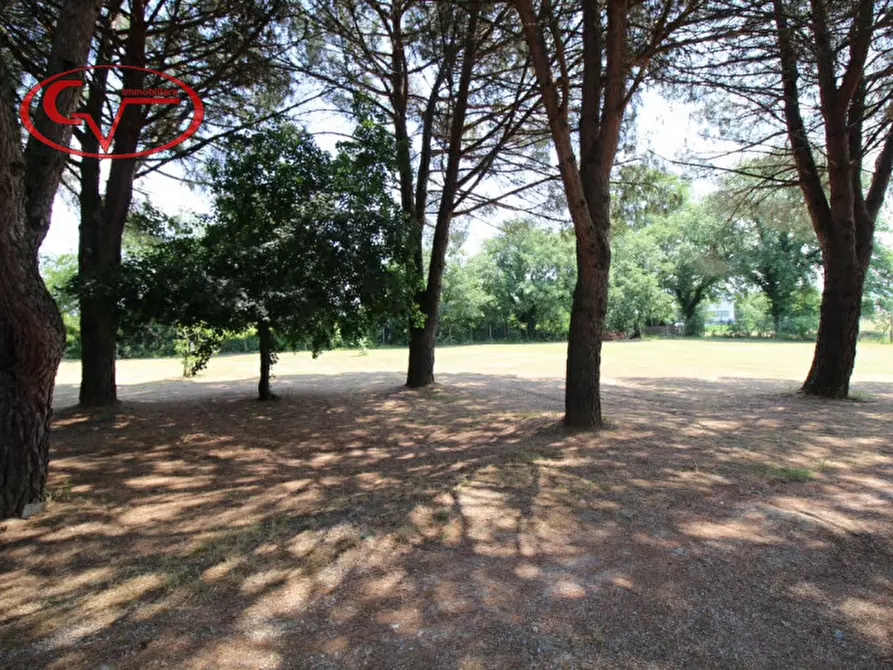 Immagine 31 di Rustico / casale in vendita  in Via oberdan a Bucine