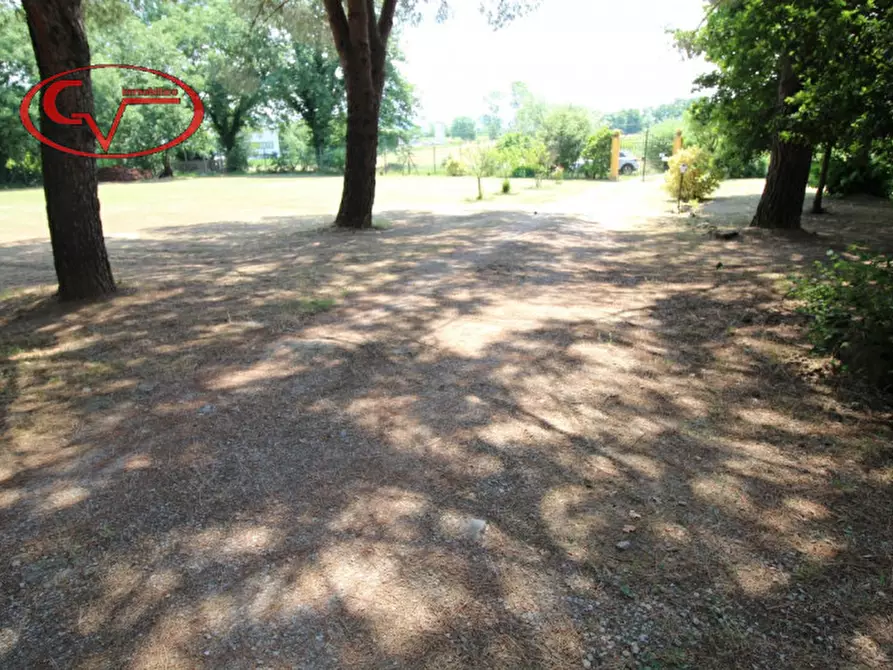 Immagine 32 di Rustico / casale in vendita  in Via oberdan a Bucine