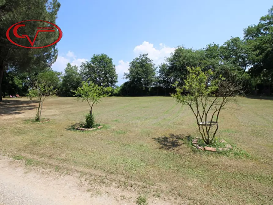 Immagine 35 di Rustico / casale in vendita  in Via oberdan a Bucine