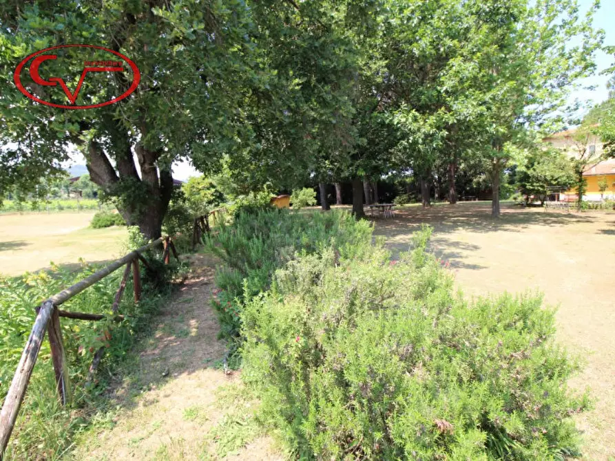 Immagine 38 di Rustico / casale in vendita  in Via oberdan a Bucine