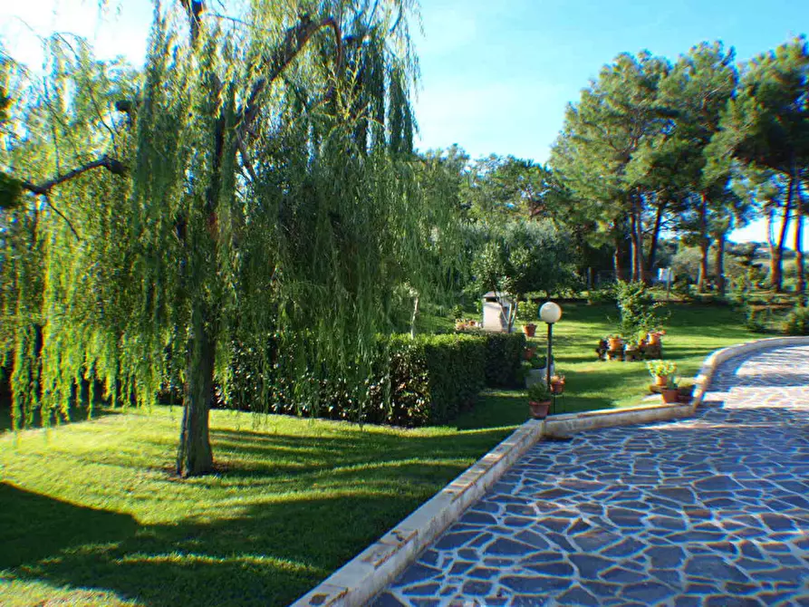 Immagine 2 di Casa indipendente in vendita  a Senigallia