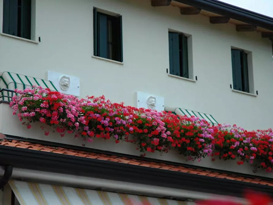 Immagine 7 di Attività commerciale in vendita  a San Michele Al Tagliamento