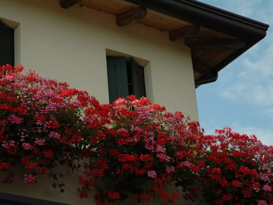 Immagine 13 di Attività commerciale in vendita  a San Michele Al Tagliamento