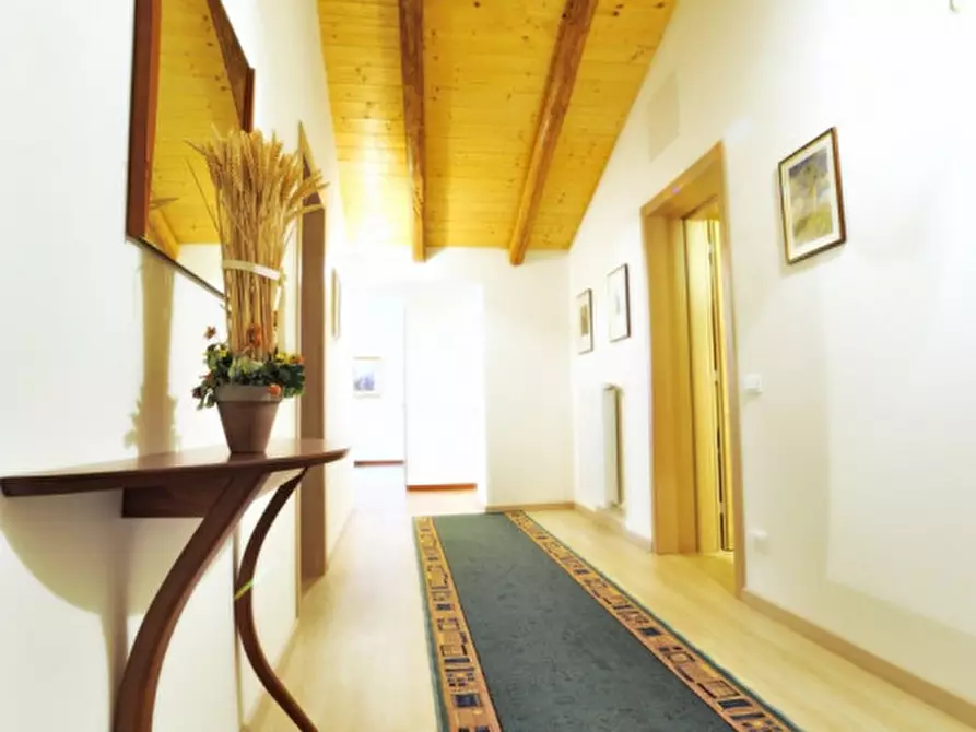 Immagine 20 di Attività commerciale in vendita  a San Michele Al Tagliamento