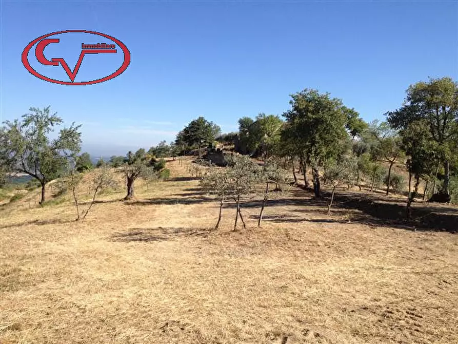 Immagine 2 di Rustico / casale in vendita  in strada provinciale 19 a Bucine