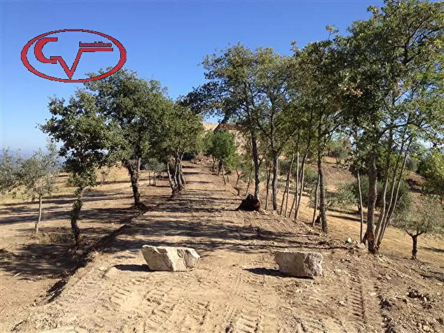 Immagine 3 di Rustico / casale in vendita  in strada provinciale 19 a Bucine