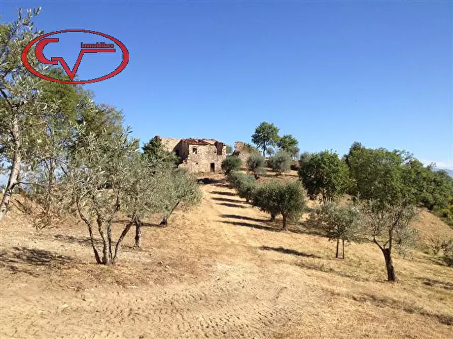 Immagine 4 di Rustico / casale in vendita  in strada provinciale 19 a Bucine