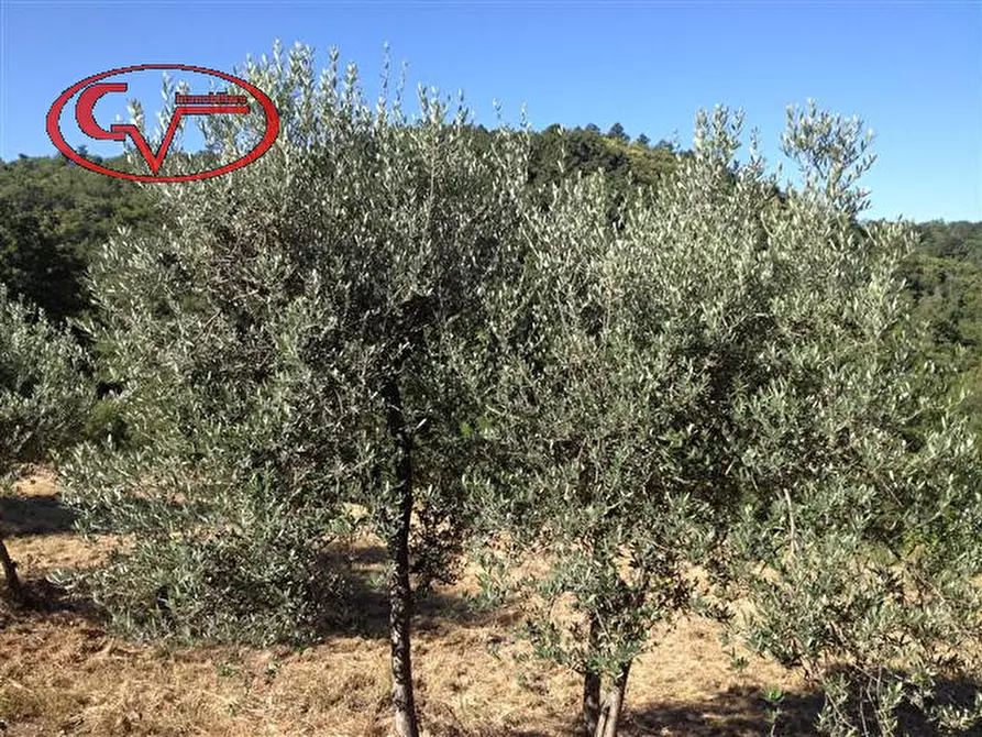 Immagine 8 di Rustico / casale in vendita  in strada provinciale 19 a Bucine