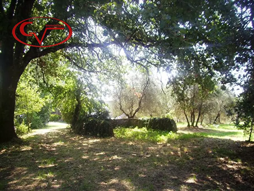 Immagine 4 di Terreno in vendita  in Via Magiotti a Bucine