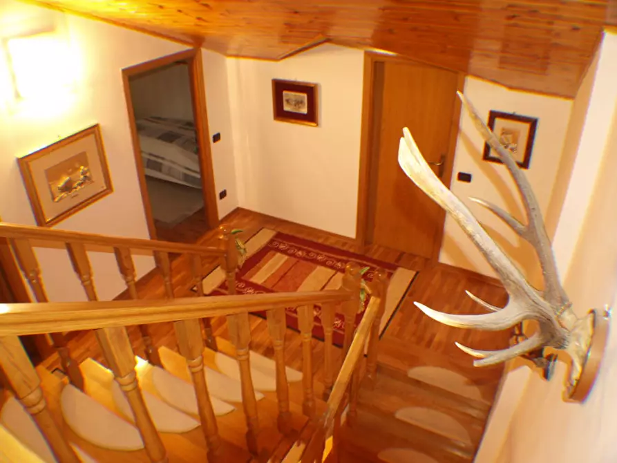 Immagine 31 di Appartamento in vendita  a Corinaldo