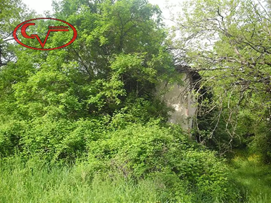 Immagine 2 di Rustico / casale in vendita  in via borro al quercio a Montevarchi