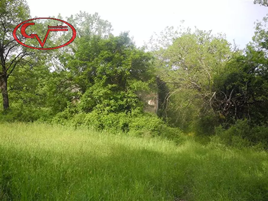 Immagine 3 di Rustico / casale in vendita  in via borro al quercio a Montevarchi