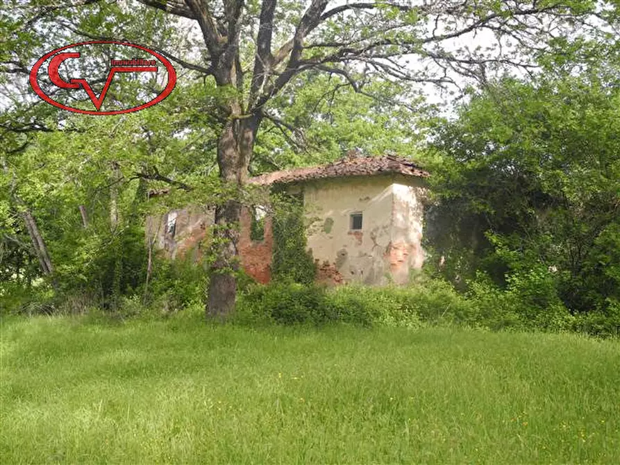 Immagine 4 di Rustico / casale in vendita  in via borro al quercio a Montevarchi