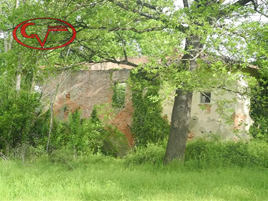 Immagine 6 di Rustico / casale in vendita  in via borro al quercio a Montevarchi
