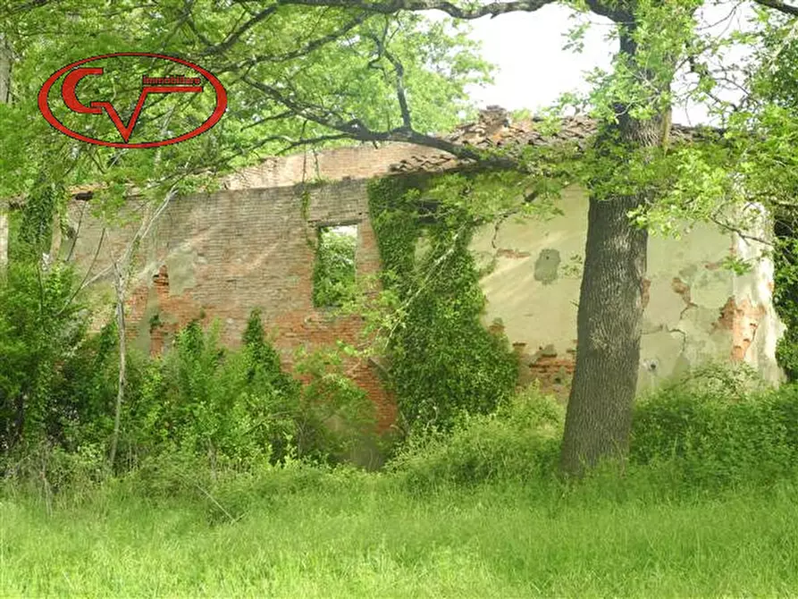 Immagine 8 di Rustico / casale in vendita  in via borro al quercio a Montevarchi