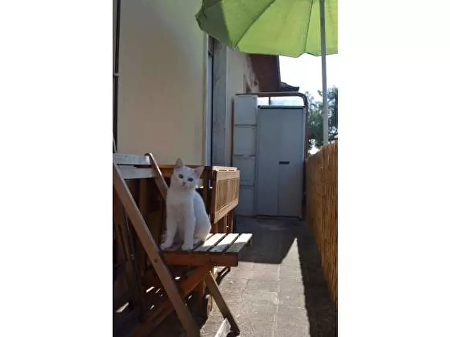 Immagine 10 di Appartamento in vendita  a Senigallia