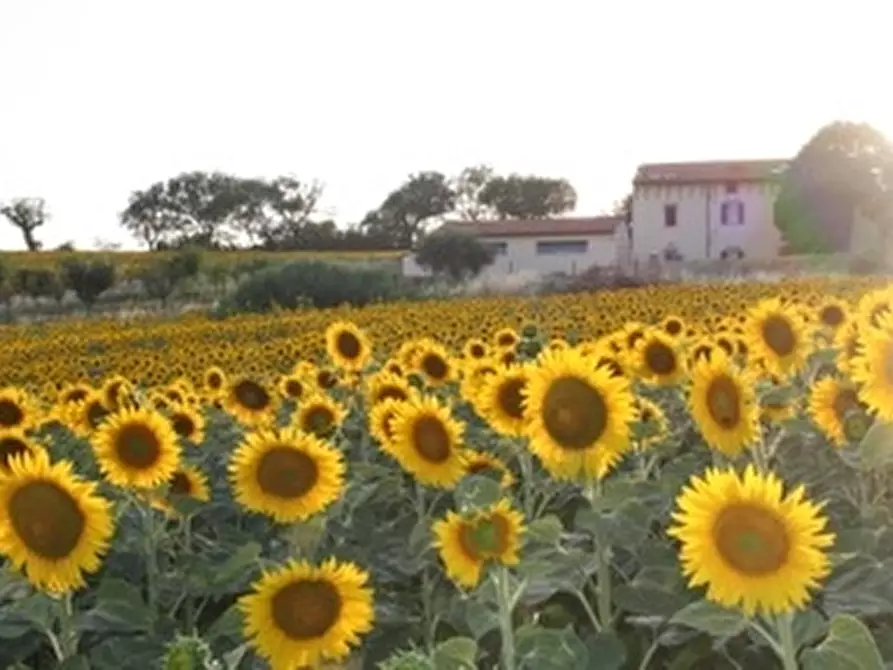 Immagine 1 di Casa indipendente in vendita  a Senigallia