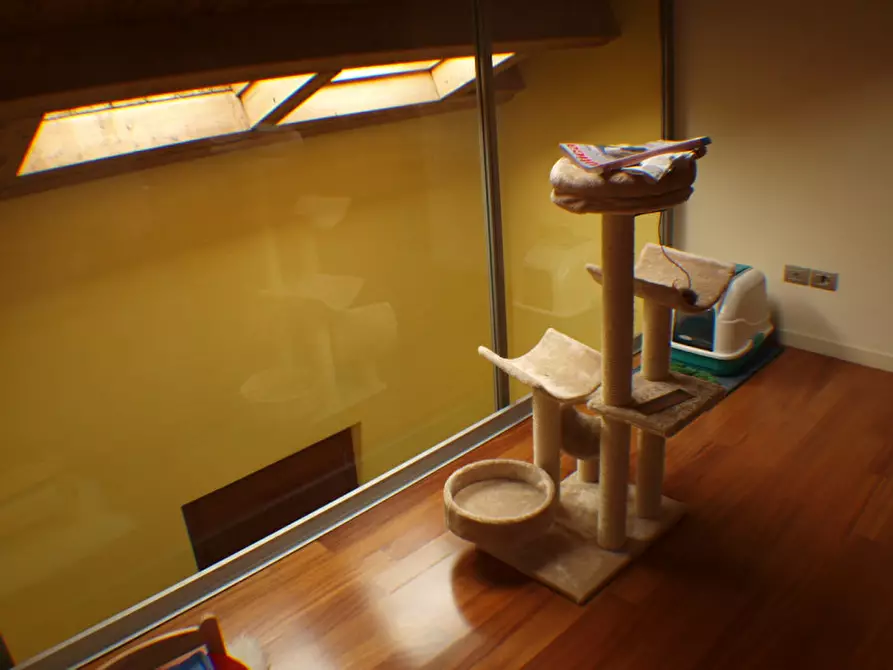 Immagine 16 di Casa indipendente in vendita  a Senigallia