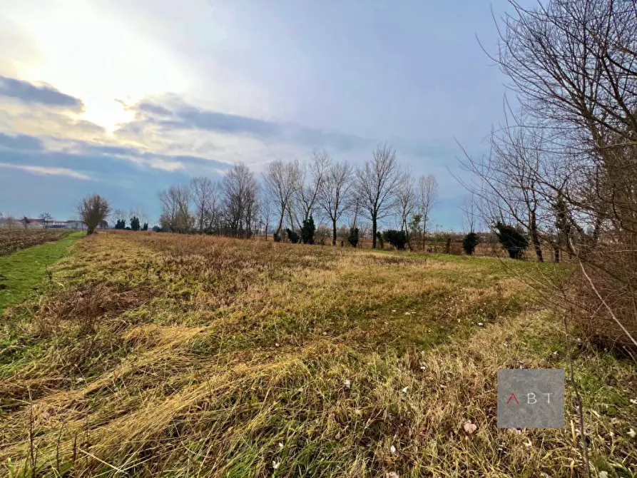 Immagine 1 di Rustico / casale in vendita  a San Giorgio In Bosco