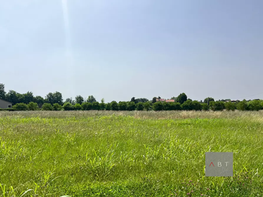 Immagine 1 di Terreno in vendita  a Campo San Martino