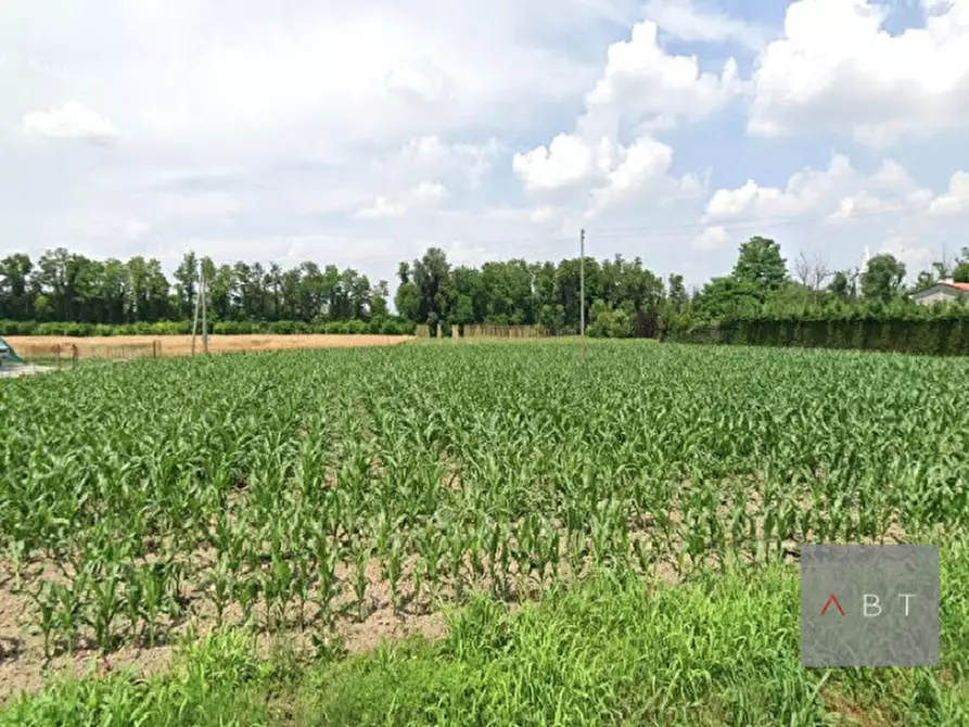 Immagine 1 di Terreno in vendita  a Campo San Martino