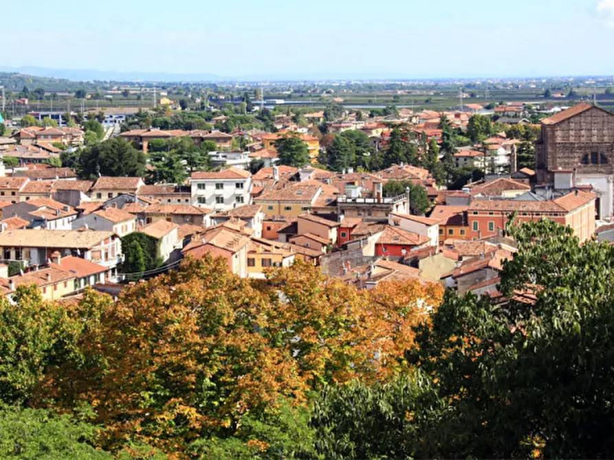 Immagine 27 di Appartamento in vendita  a Valeggio Sul Mincio