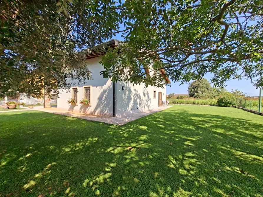 Immagine 10 di Villa in vendita  a Valeggio Sul Mincio