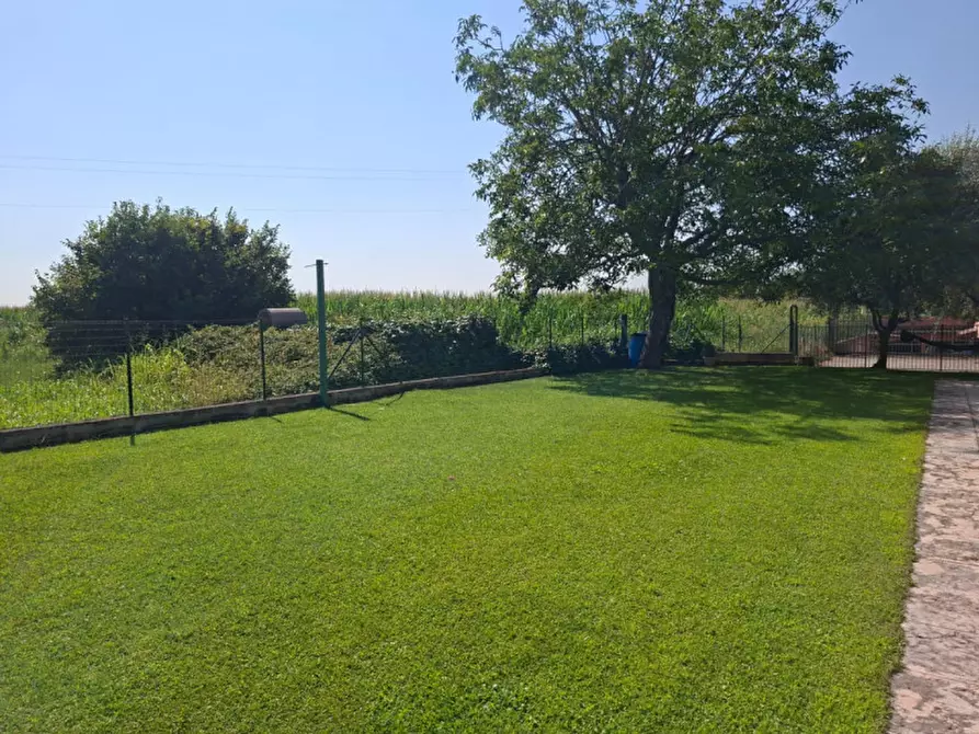Immagine 14 di Villa in vendita  a Valeggio Sul Mincio
